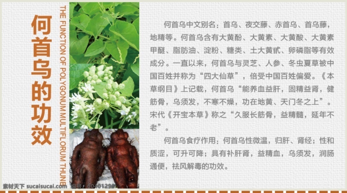 淘寶 網(wǎng)店 商品 何首烏功效 商品特色 介紹圖片 首烏 養(yǎng)生 保健 電商 ps 宣傳 旺鋪 圖片何首烏 功效 藥用 效果 淘寶界面設(shè)計(jì)