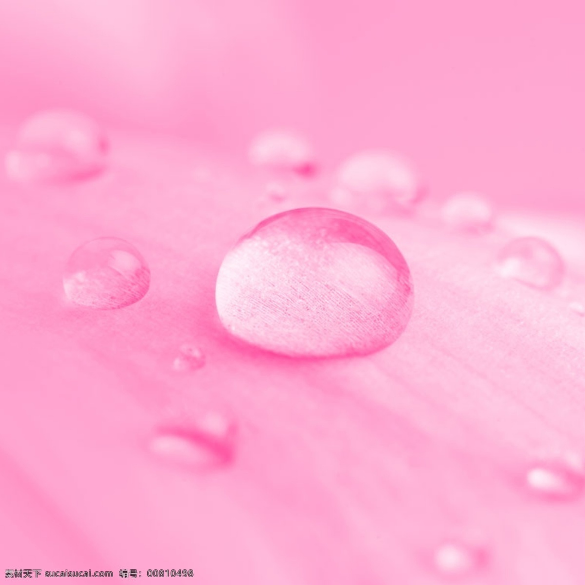 粉色 唯美 水滴 背景 图 简约 清爽 绿色 花朵 女装 清新 护肤品