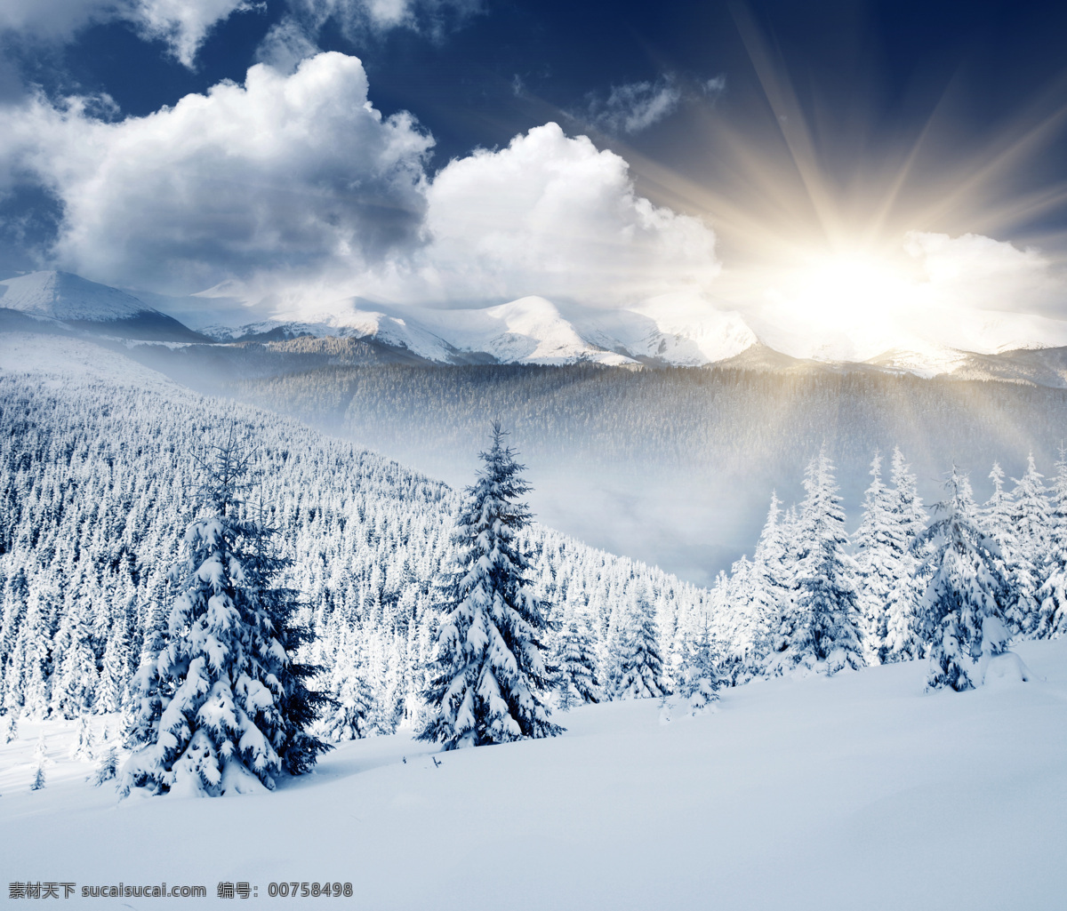 冬天积雪美景 冬季 冬天 雪景 美丽风景 景色 美景 积雪 雪地 森林 树木 冬季景观 自然风景 自然景观 白色