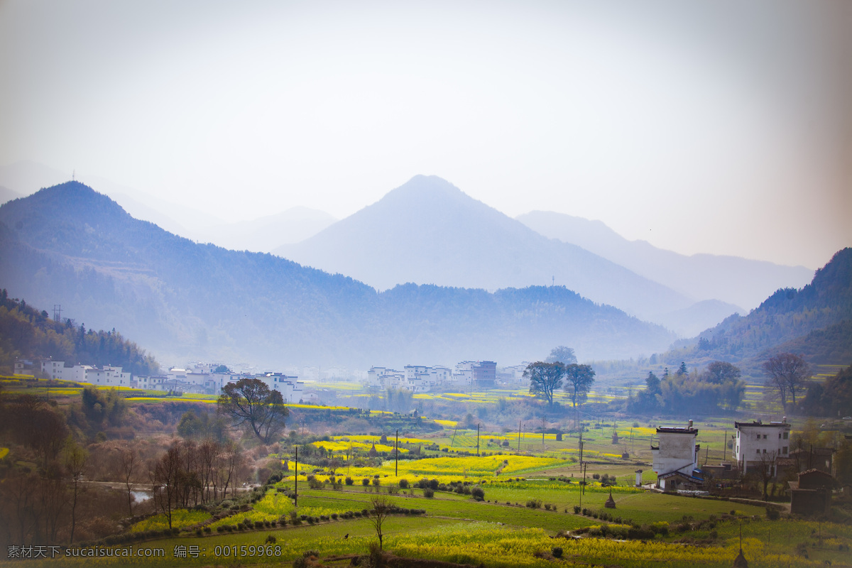 婺源風(fēng)光 婺源風(fēng)景 鄉(xiāng)村自然風(fēng)光 婺源 油菜花 婺源攝影 婺源游記 江西婺源 鄉(xiāng)村攝影 古鎮(zhèn) 小鎮(zhèn) 鄉(xiāng)村 田園風(fēng)光 古徽州 風(fēng)景 江西風(fēng)景 婺源油菜花 自然景觀