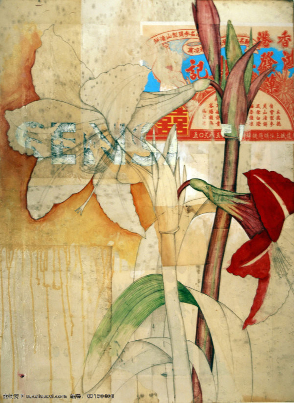 渲染 復(fù)古 夏花 白描 插畫(huà) 繪畫(huà)書(shū)法 空間感 水彩 文化藝術(shù) 渲染復(fù)古夏花 妖姬百合 插畫(huà)集
