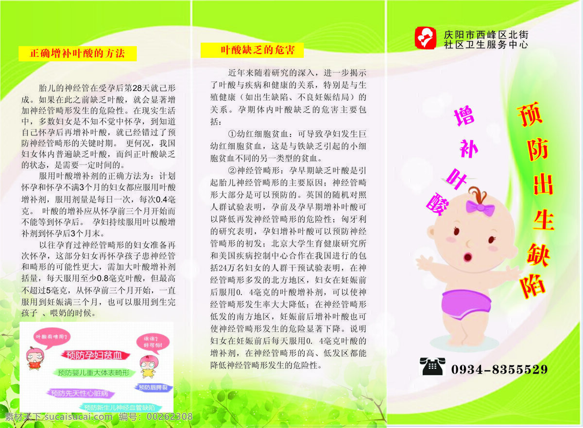 預(yù)防 出生 缺陷 增補 葉酸 格式 出生缺陷 增補葉酸 折頁 葉酸缺乏 危害