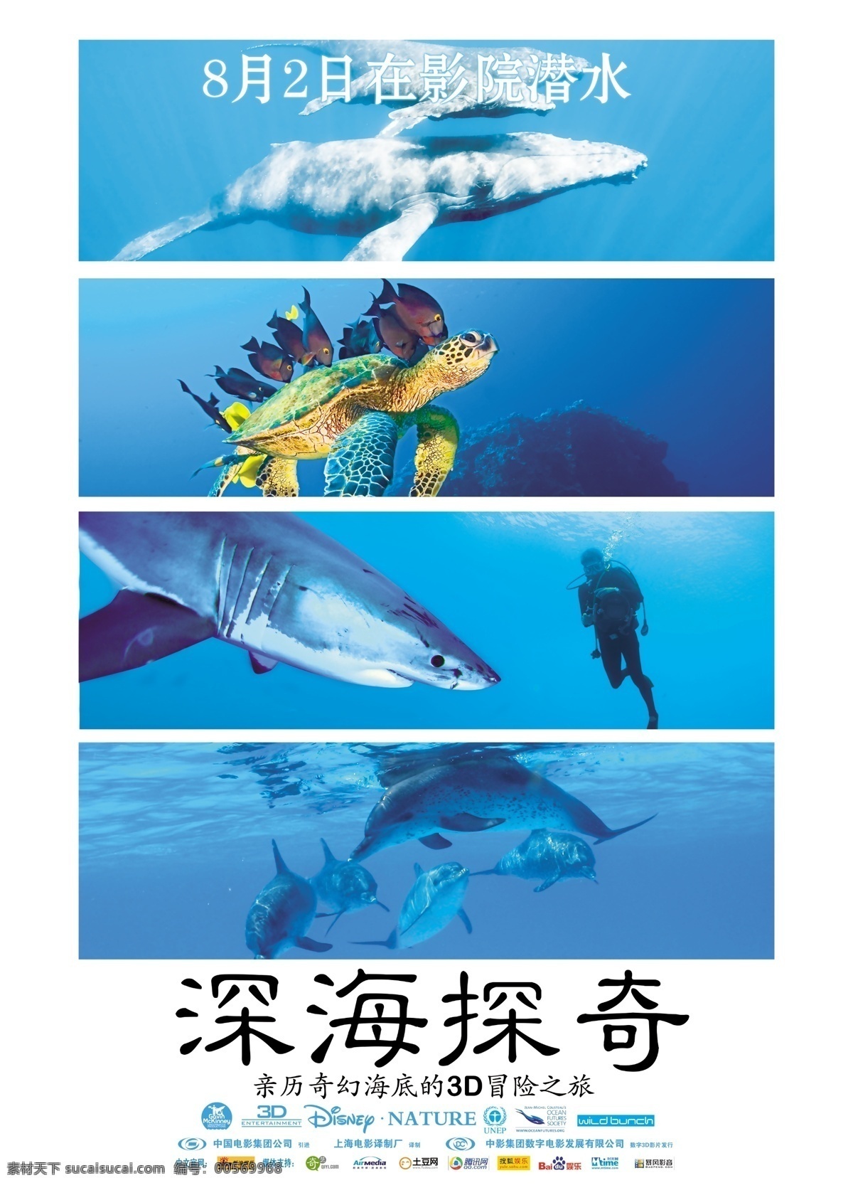 分層 海底世界 海水 海洋生物 深海 深海魚 生物世界 魚類 探 奇 魚 合 層 深海探奇 源文件