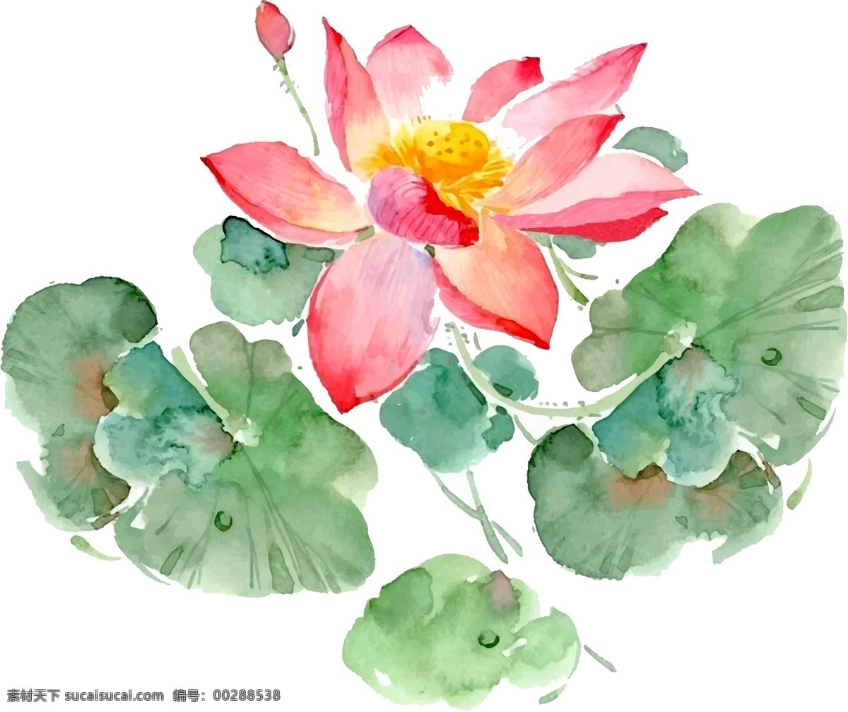 手繪 荷花 矢量 元素 手繪荷花 國(guó)畫(huà)荷花 矢量植物 花卉大全