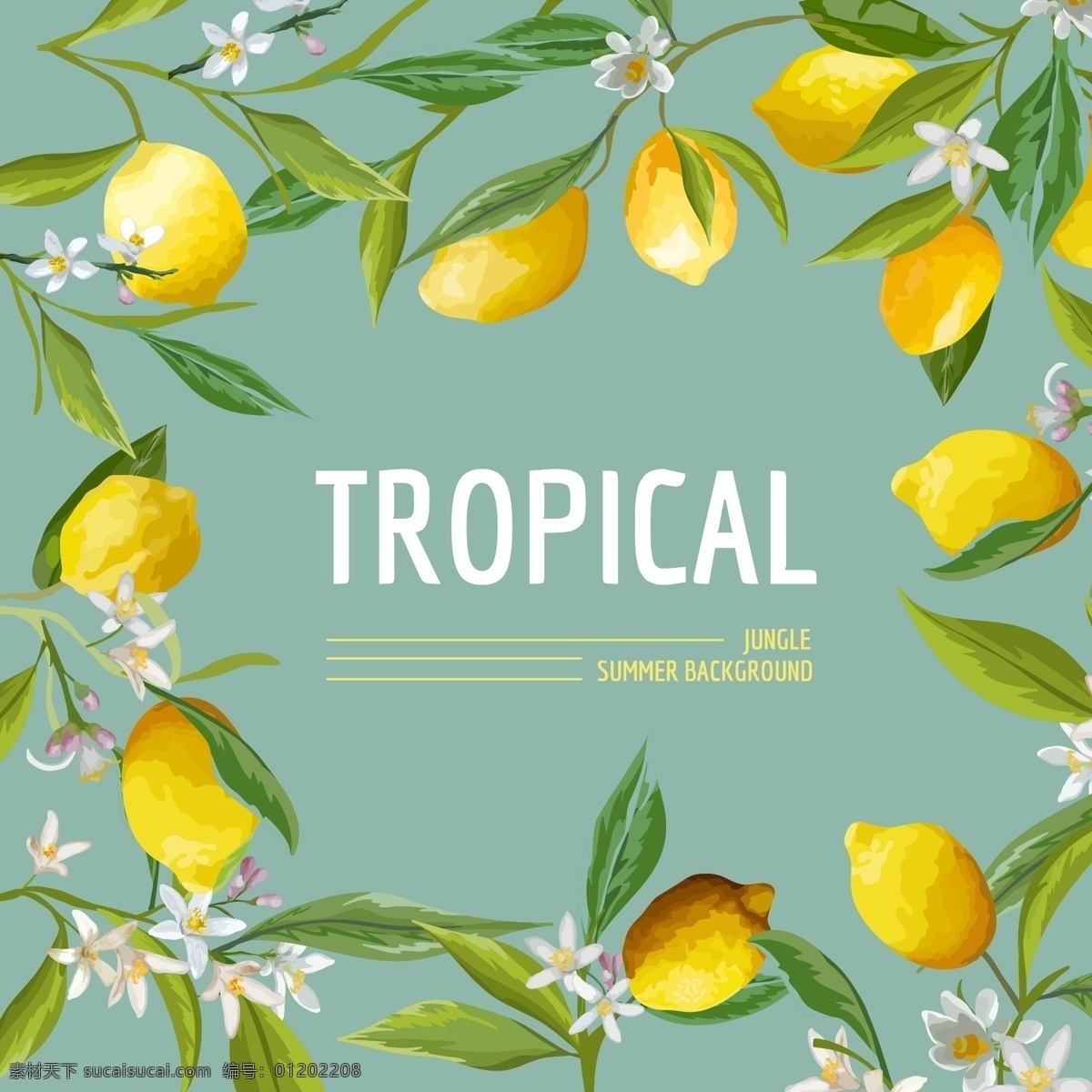 柠檬 热带 风情 卡片 矢量 背景 文字 排版 矢量素材 背景素材 设计素材