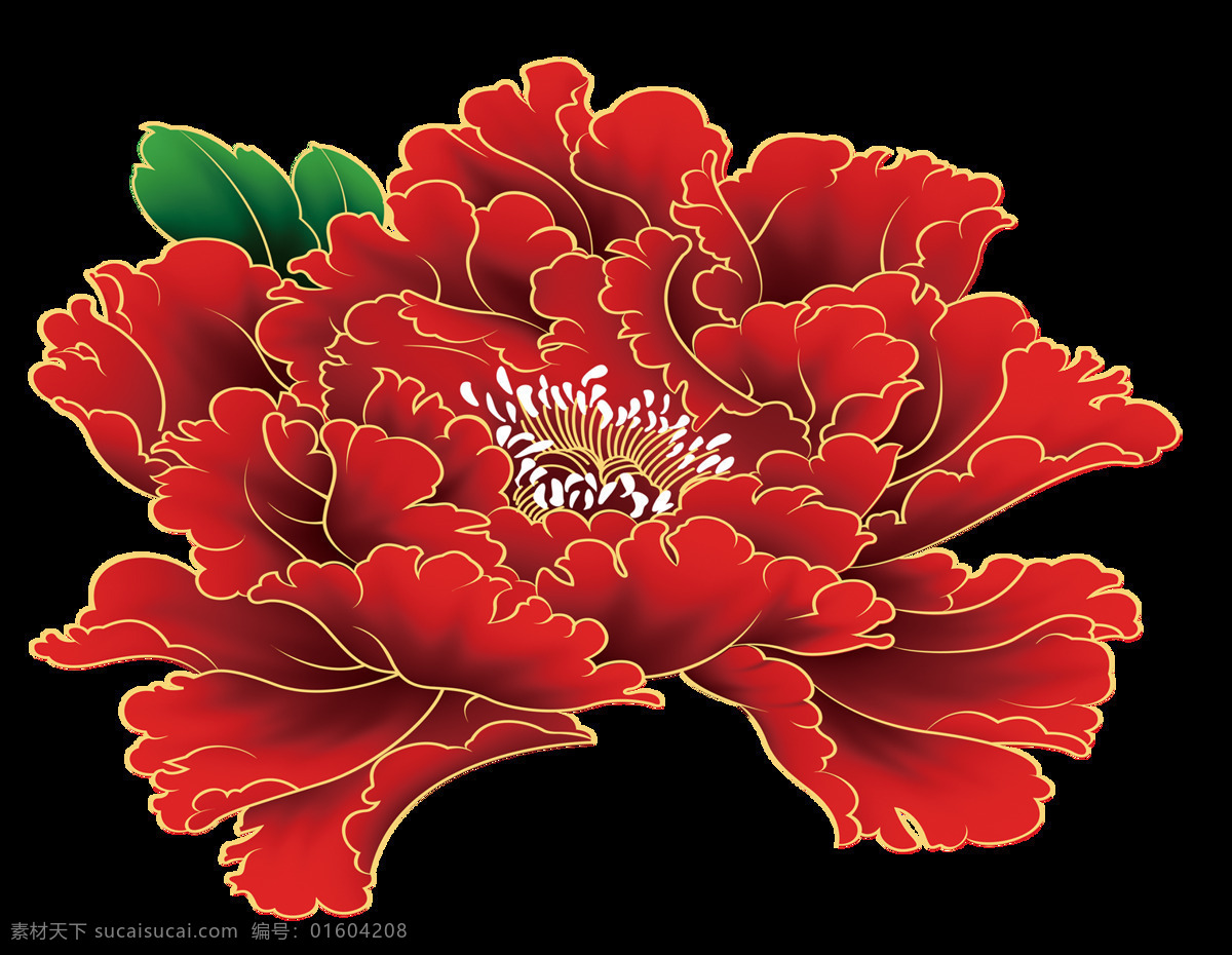 大红 牡丹花 透明 底 大红牡丹花 png透明底 花蕊 金边 绿叶 自然景观 自然风光