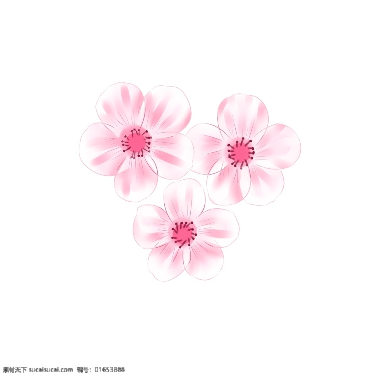 粉色 的卡 通 樱花 插画 粉色的花朵 唯美樱花插画 粉色樱花 花瓣 创意植物插画 卡通植物插画 花朵