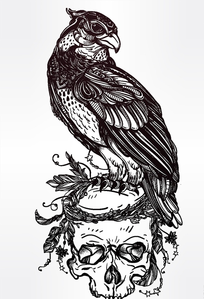 雄鹰 骷髅 插画 动物 万圣节 手绘插画 矢量 高清图片