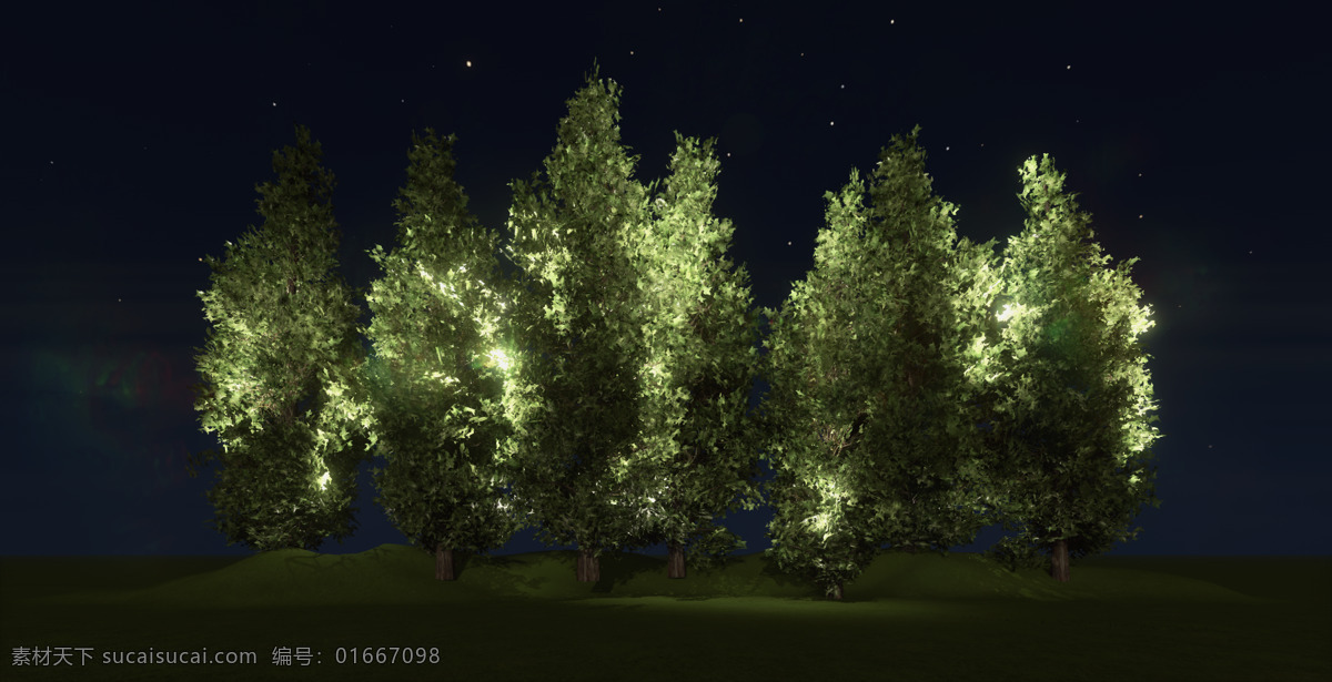 灌木 夜景 亮化 灌木低矮植物 树 景观设计 环境设计