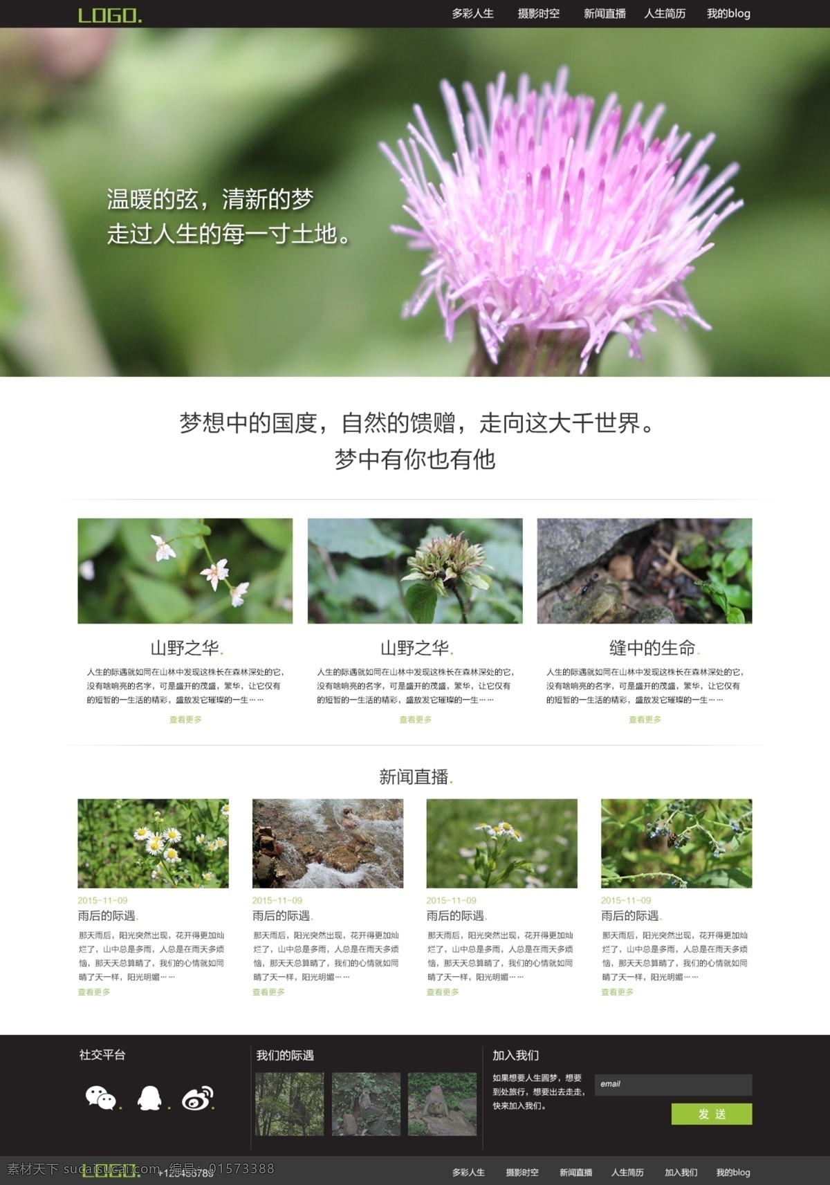 個(gè)人網(wǎng)頁設(shè)計(jì) 網(wǎng)頁設(shè)計(jì) 網(wǎng)站首頁 風(fēng)景 自然風(fēng)光 白色