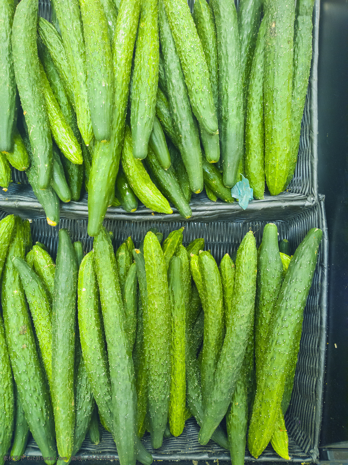 黃瓜 青瓜 蔬果 蔬菜 食品 食物 生物世界
