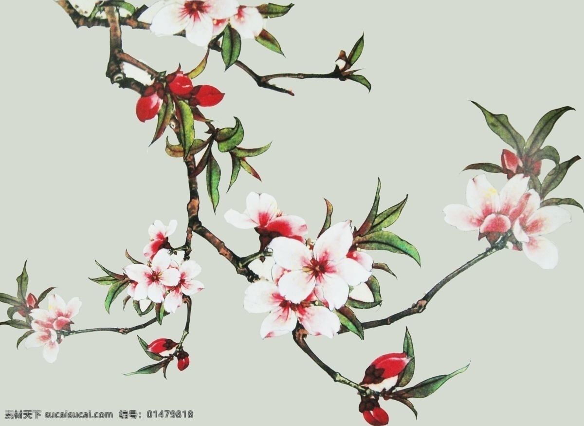 國畫桃花 桃花 花 花紋 花卉 花草素材 國畫 美術(shù) 繪畫 中國畫 工筆重彩畫 花鳥畫 花木 花朵 國畫藝術(shù) 工筆花鳥畫 分層 植物 裝飾花草 花草樹木 各式花卉 綠色植物 花草 源文件 國畫鮮花