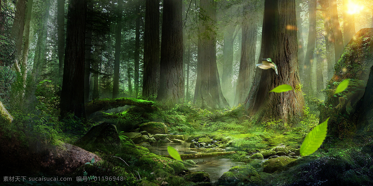 森林 梦幻 魔幻 清新 背景 海报 素材图片 分层