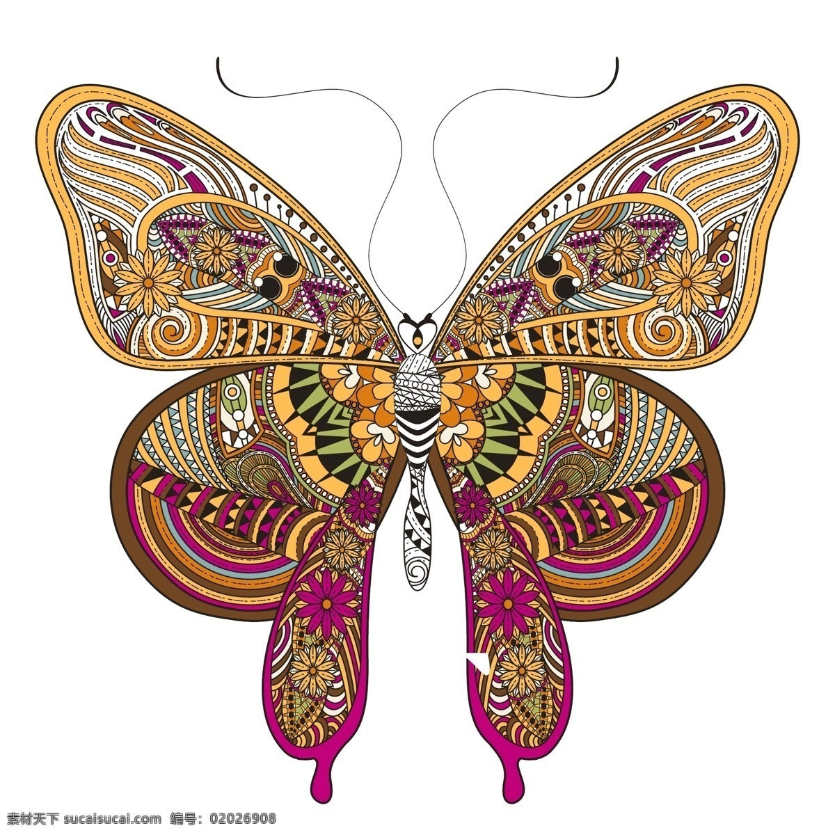唯美 艺术 时尚 蝴蝶 插画 动物 昆虫