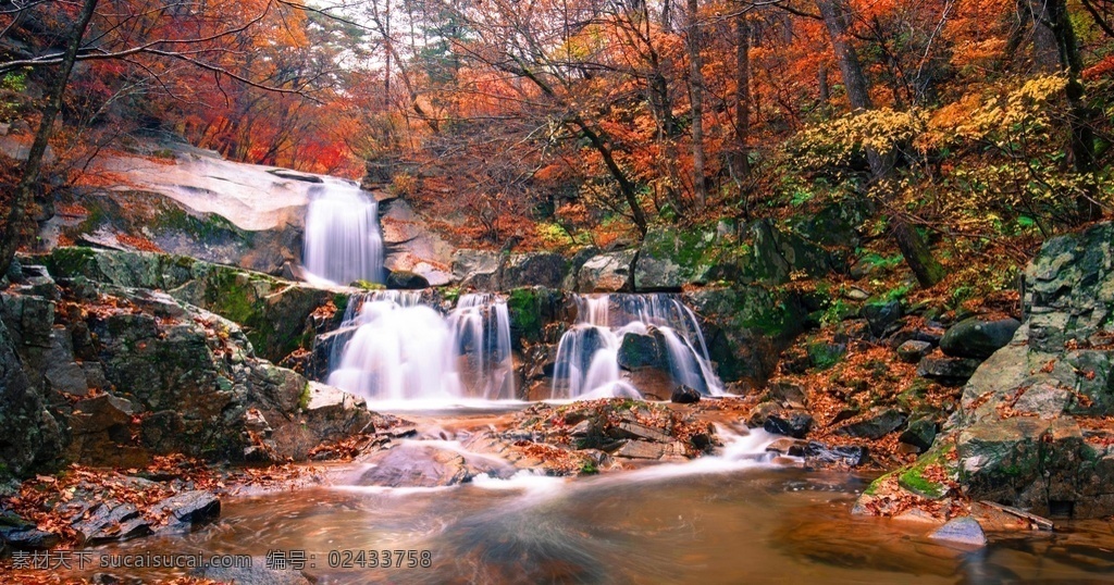 瀑布 秋季 水池 清幽 枫叶 自然景观 自然风光
