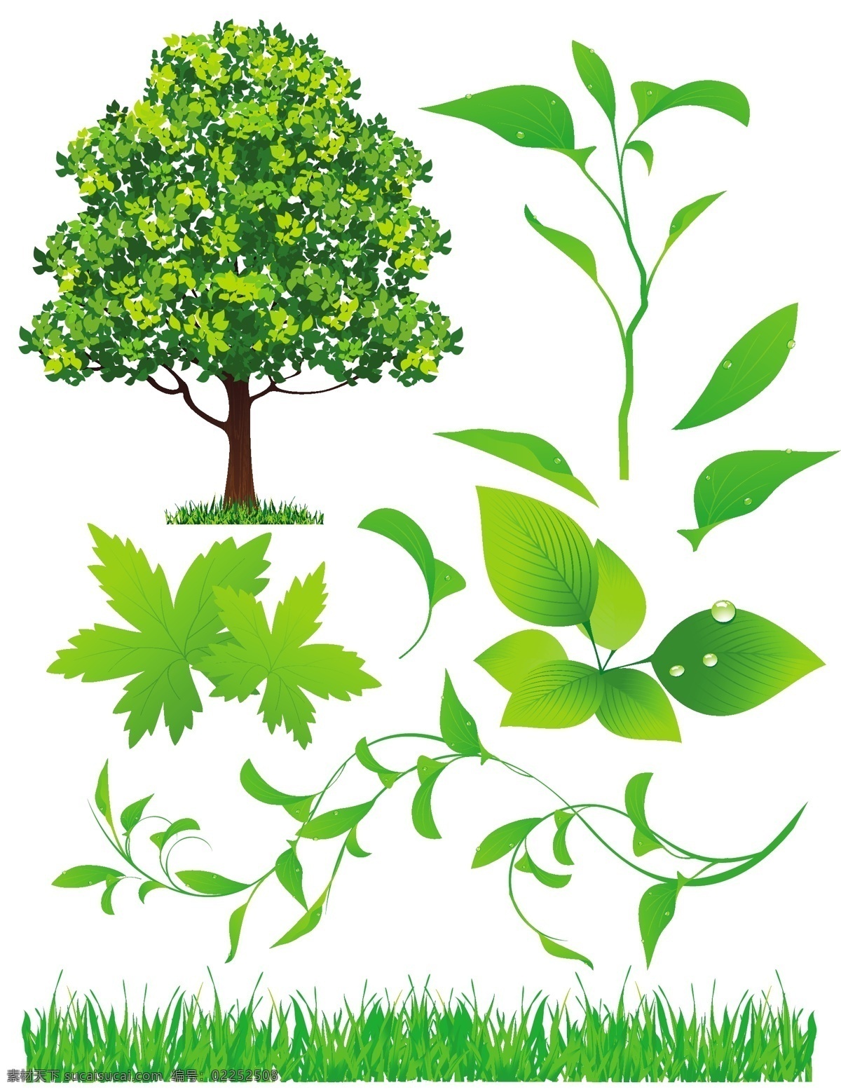 绿色植物 系列 矢量 材料 盆景 盆栽植物 树木 叶子 竹 绿色的叶子 载体 矢量图 日常生活
