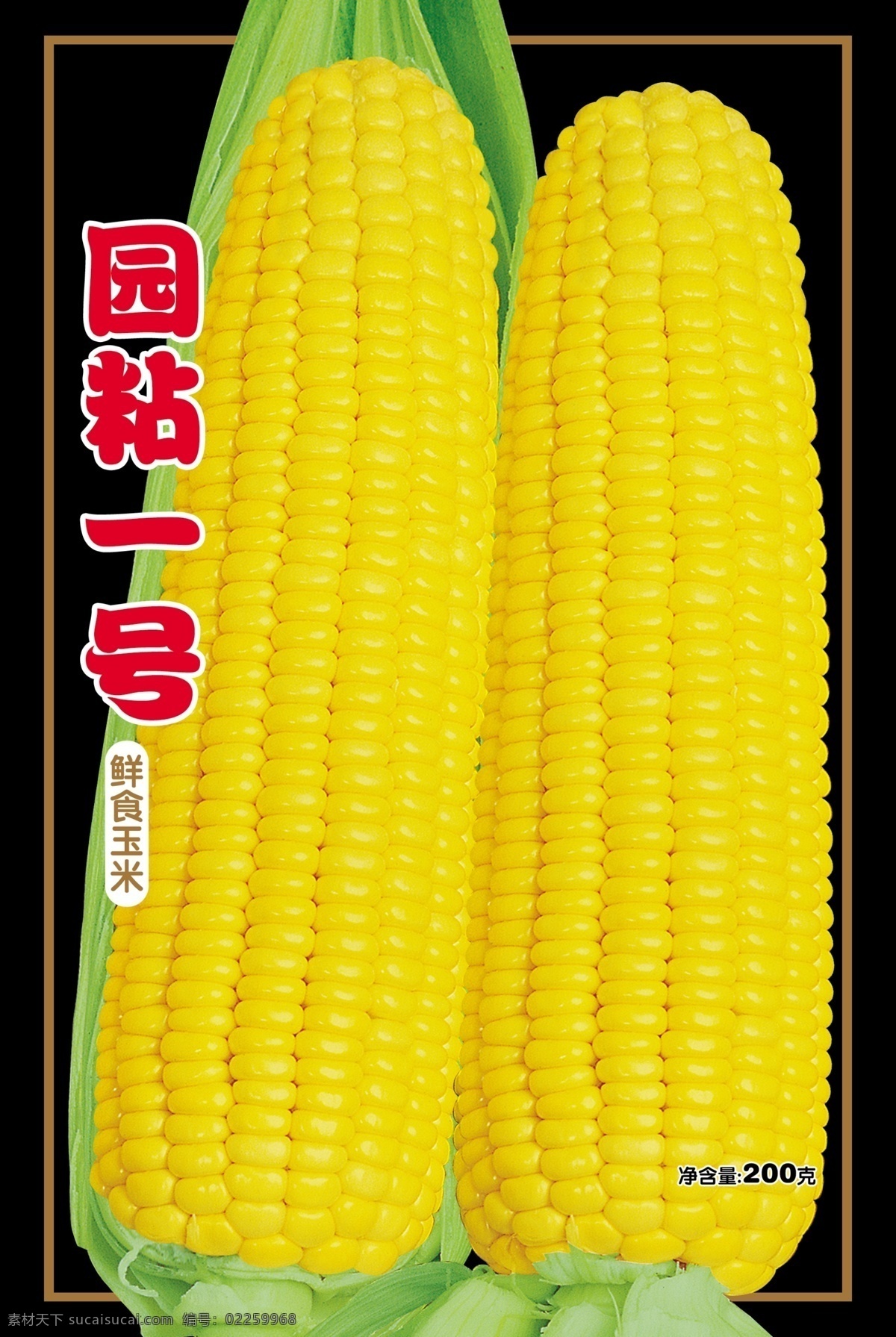 粘玉米種 粘玉米 種子 玉米棒 玉米葉 雜交玉米 園粘一號(hào) 分層 源文件