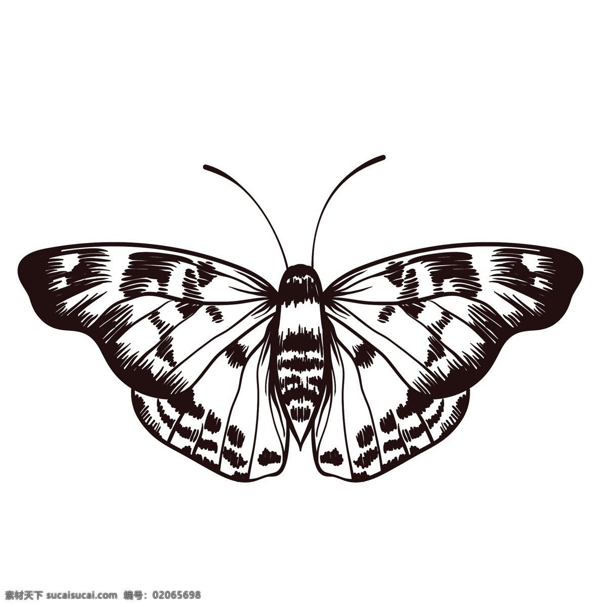 素描 绘画 昆虫 蝴蝶 简笔绘画 线条 纯色 蜻蜓 插画 图案 文化艺术 绘画书法