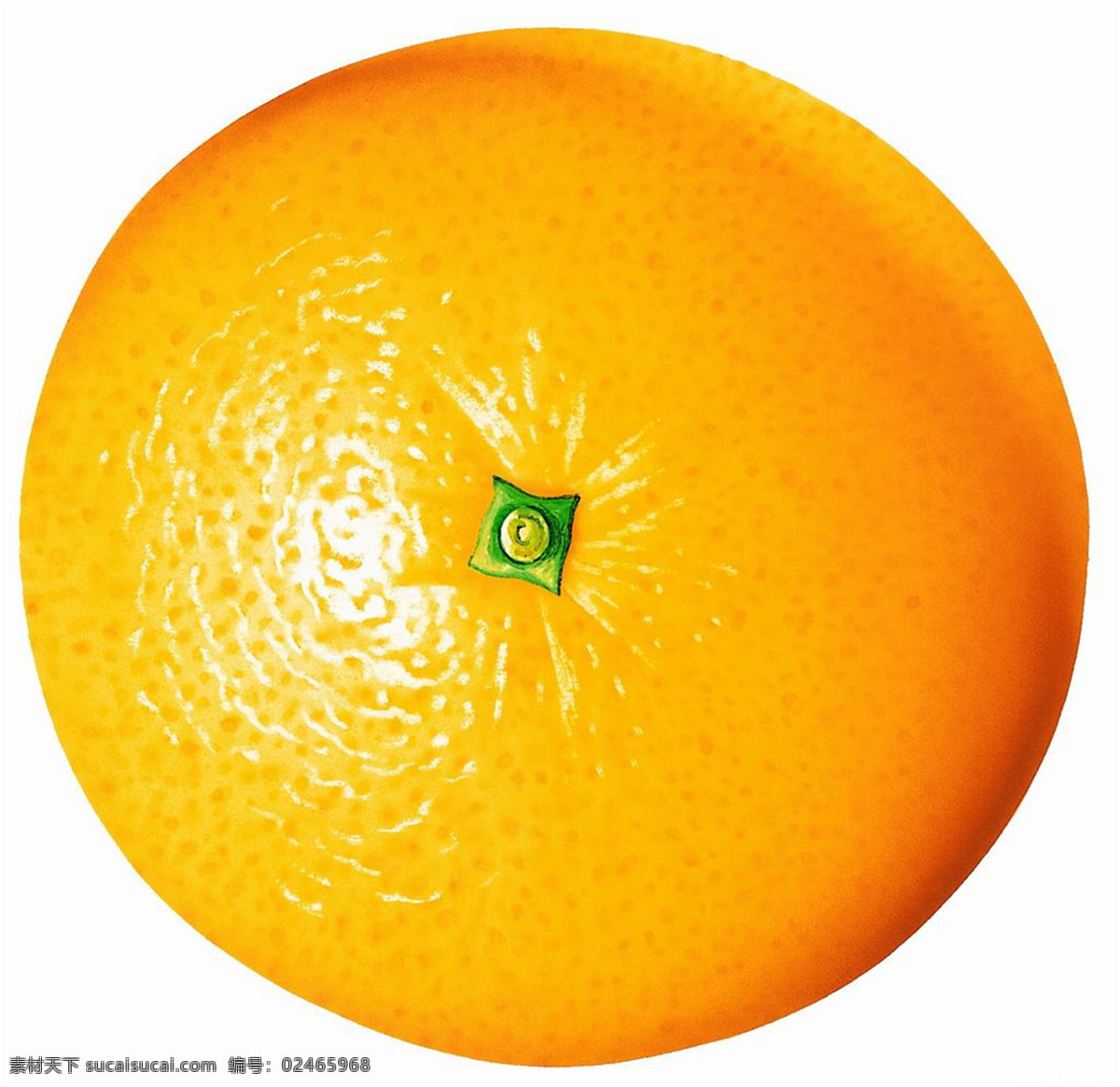 手繪柳橙 設計圖庫 生物世界 水果 手繪水果 设计图库