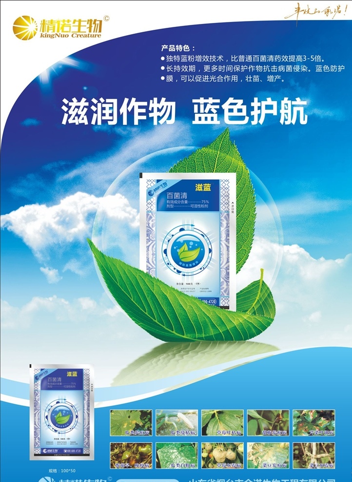 农药广告 百菌清 生物科技 蓝色背景 叶子 蓝天白云 精诺生物 展板背景