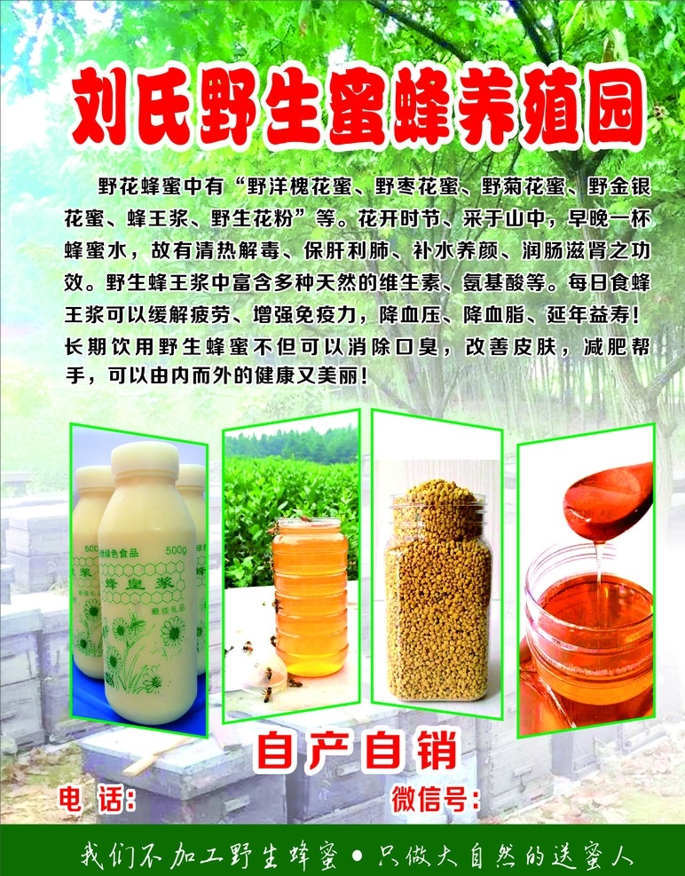 野生 蜂蜜 蜂王漿 養(yǎng)殖 背景 圖 野花蜂蜜 野生花粉 蜜蜂養(yǎng)殖 背景圖 送蜜人 養(yǎng)殖園