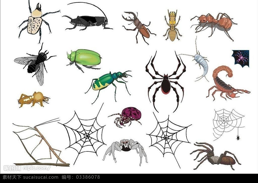 coreldarw 精选 矢量 动物 昆虫 虫 生物世界 矢量图库