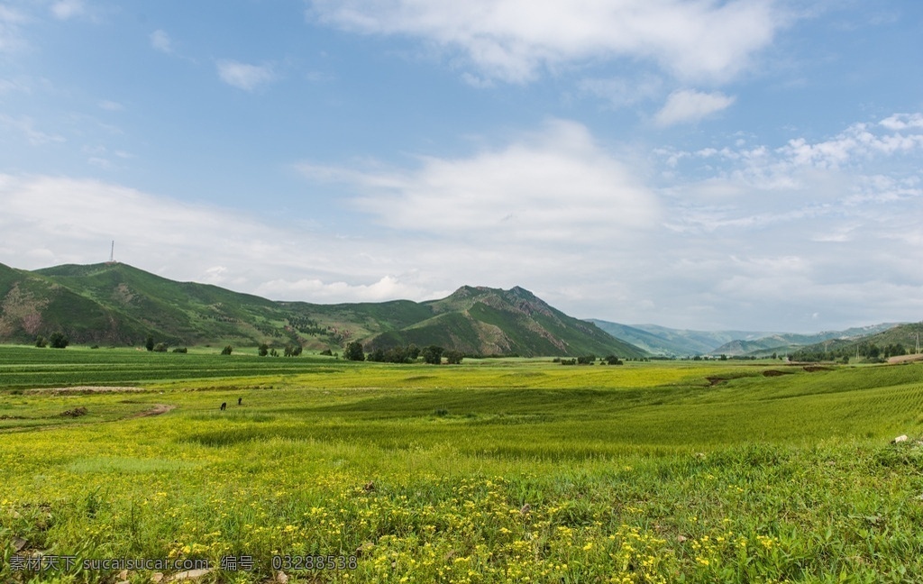 內(nèi)蒙古草原 風光 草原 草原風光 田園風光 田園景色 克旗風光 壩上草原 旅游攝影 夏天景色 內(nèi)蒙古風景 自然景觀 自然風景
