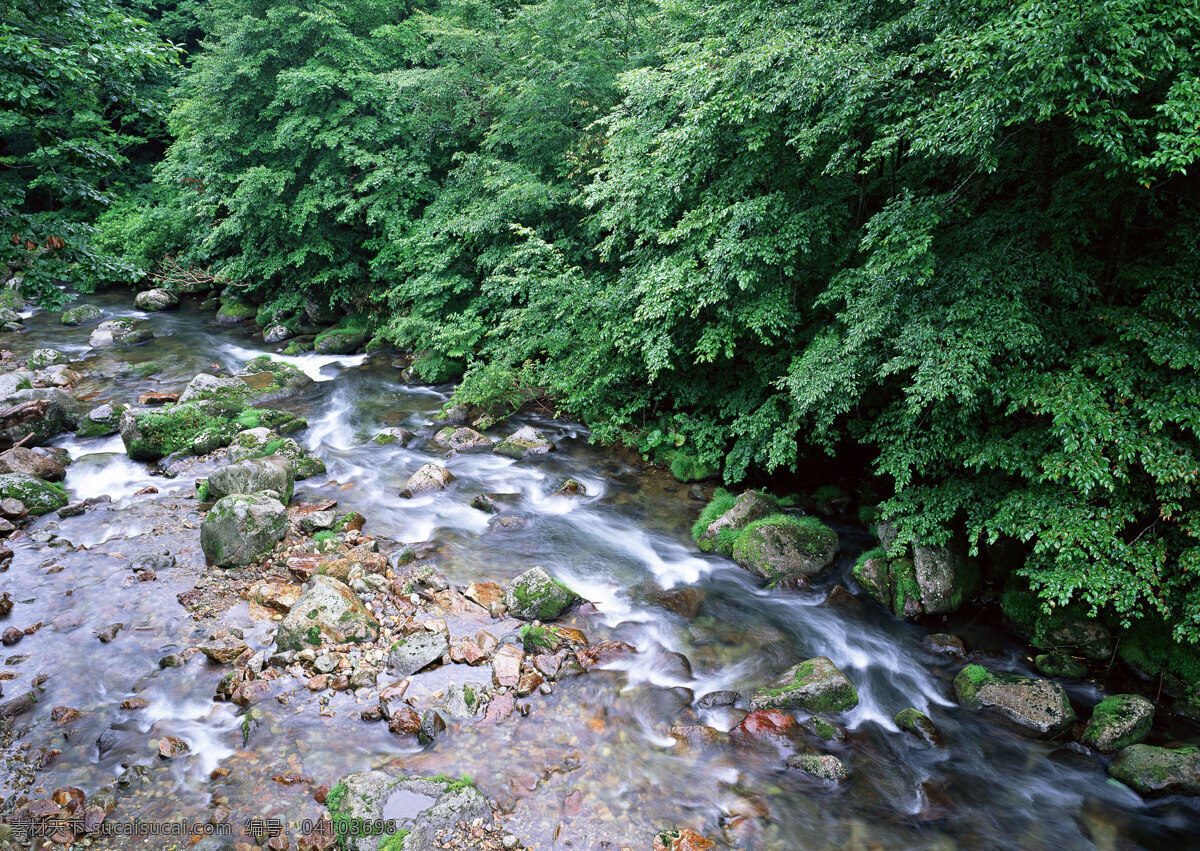 森林急流 晨霧 村莊 風(fēng)景 風(fēng)景背景 風(fēng)景畫 河流 湖泊 湖景 湖面 湖畔 山水風(fēng)景 山峰 山水背景 山水風(fēng)光 山坡 綠色背景 綠葉 綠草地 綠樹 樹木 樹木大樹 山林 森林 森林風(fēng)景 森林公園 森林背景 景色 山景 秋天風(fēng)景 自然風(fēng)景 自然風(fēng)光 自然景色 霧氣 霧中的山 梯田 湖水風(fēng)景 藍(lán)天白云 花紋背景 花瓣 花草 花卉 花藤 藍(lán)天草地 藍(lán)天大海 野外 野外風(fēng)景 夕陽風(fēng)景 溪水 家居裝飾素材 山水風(fēng)景畫