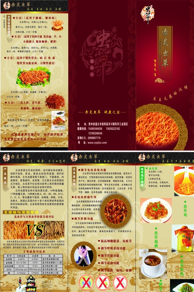 北蟲草畫冊 赤靈 蟲草 健康 養(yǎng)生 理療 dm宣傳單 矢量
