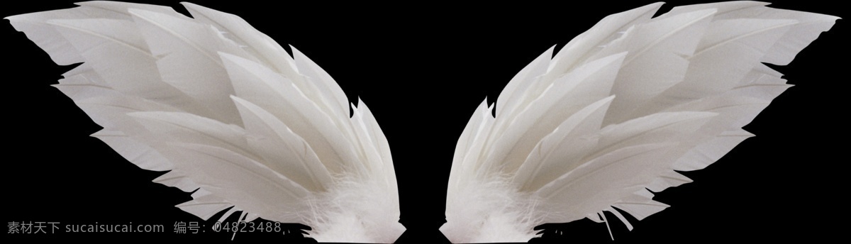 羽毛翅膀 白色翅膀 矢量素材 抽象 简洁 抽象翅膀 矢量翅膀 矢量翅膀素材 抽象花纹翅膀 梦幻翅膀 红色翅膀 翅膀大全 翅膀 黑白 天使 矢量 飞舞 天使的翅膀 翅膀素材 天使翅膀 实用性 强 文化艺术