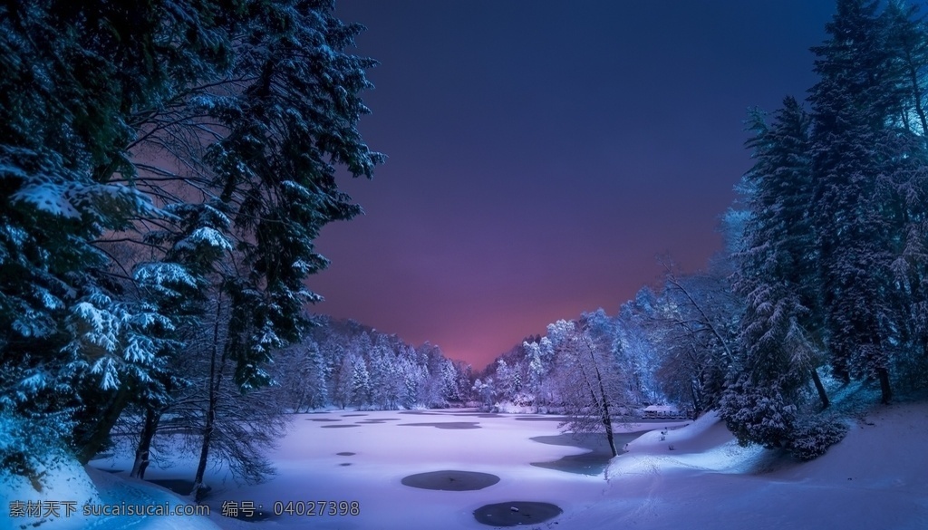 冬季森林雪景 森林 雪地 雪景 夜晚 自然景观 自然风景
