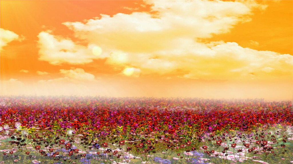 浪漫 溫暖 玫瑰 花園 天空 視頻 靜謐 生活 風景