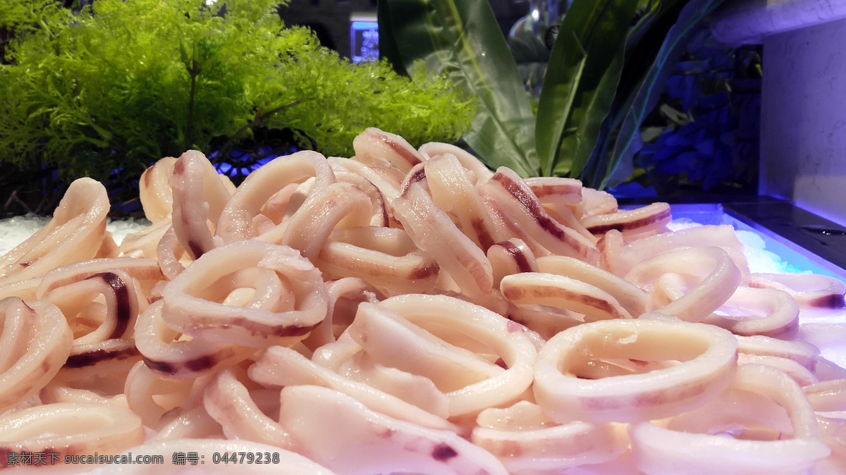 鱿鱼圈图片 鱿鱼圈 海鲜 海产品 自助餐海鲜类 鱿鱼 餐饮美食 传统美食
