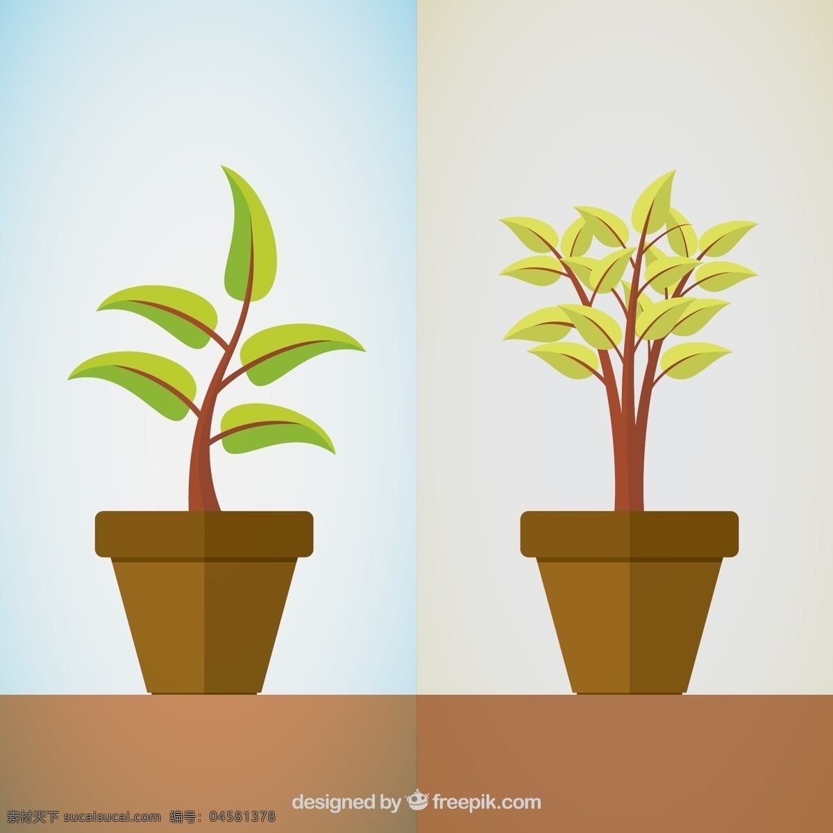 绿色 盆栽 植物 矢量 观赏植物 生长 矢量图 格式 高清图片