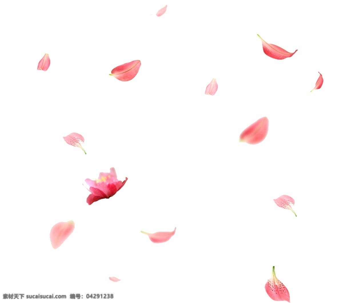 桃花 飄落 飄飄 花瓣 雪花瓣 動(dòng)漫動(dòng)畫 風(fēng)景漫畫
