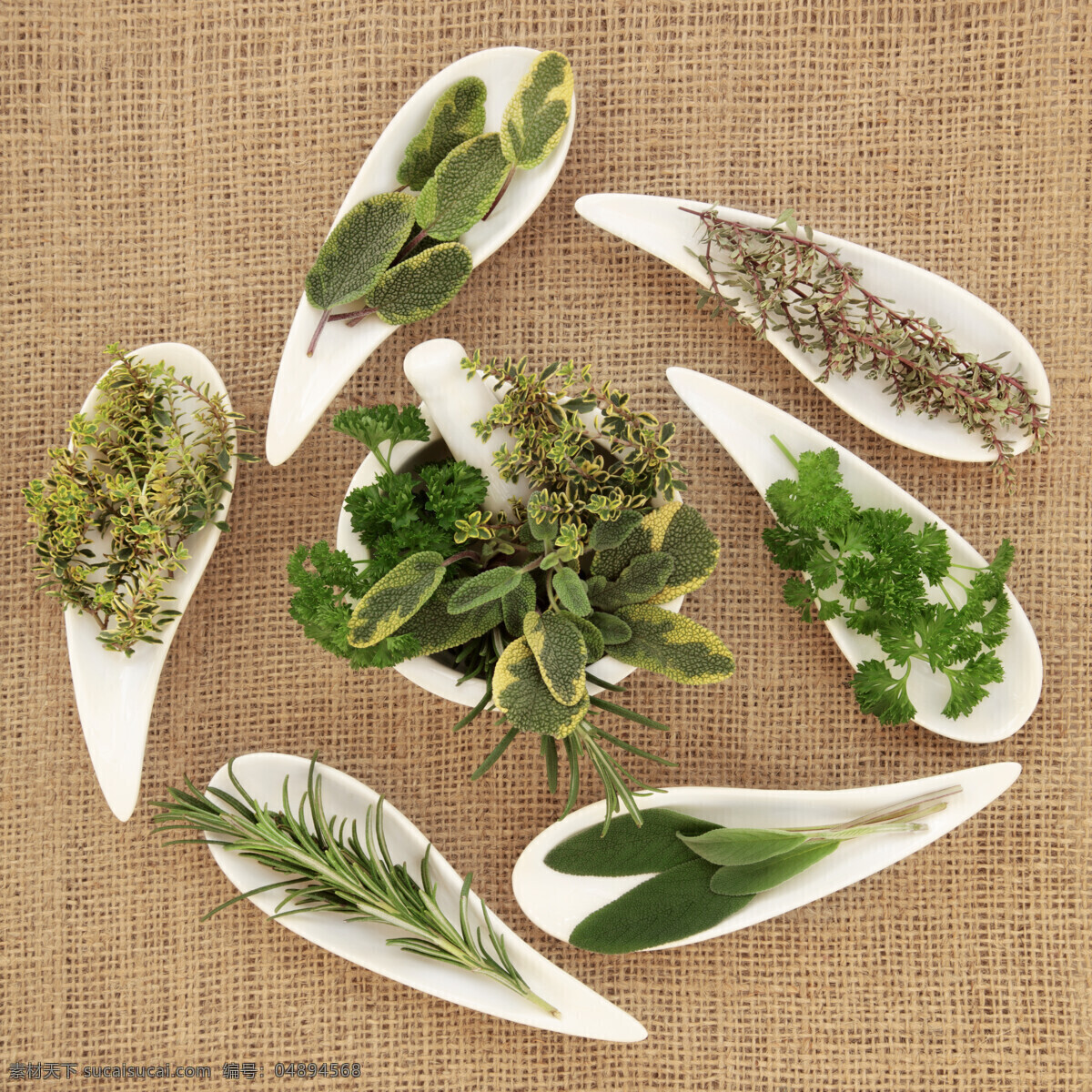 中草藥 麻布 背景 植物葉子 中藥 藥材 植物草本 香料 調(diào)料 佐料 食物原料 食材 食材原料 餐飲美食 白色