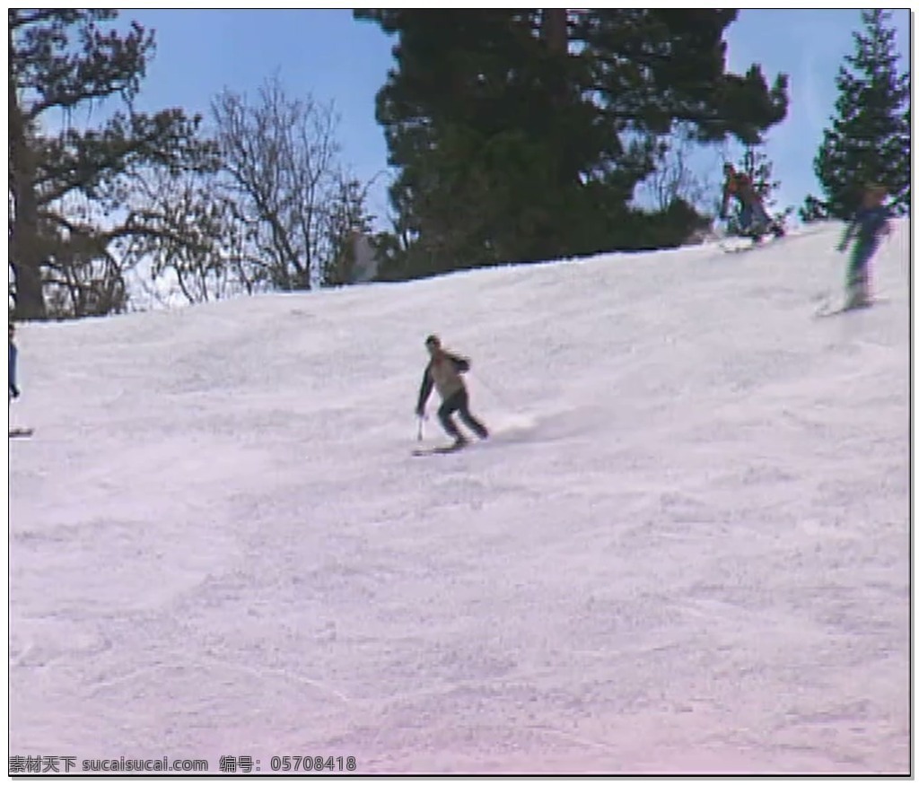 白色 雪山 视频 松树 滑雪 视频素材 动态视频素材