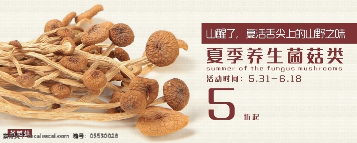 菌 菇 banner 海報 菌菇 香菇 夏季 養(yǎng)生 淘寶首頁 干貨 送禮 屏南 寧德 古田 茶樹菇 茶樹菇批發(fā) 干貨店 干貨海報 干果 野生蘑菇 香菇干 調(diào)味品 調(diào)料 食材 香菇包裝 干貨包裝 木耳 食用菌包裝 平面設(shè)計 分層