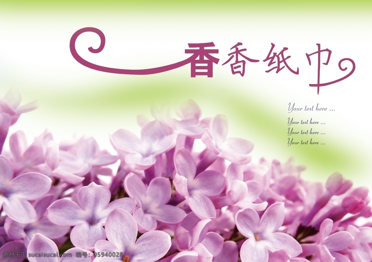 紙巾包裝正面 紙巾 花 花朵 包裝 白色
