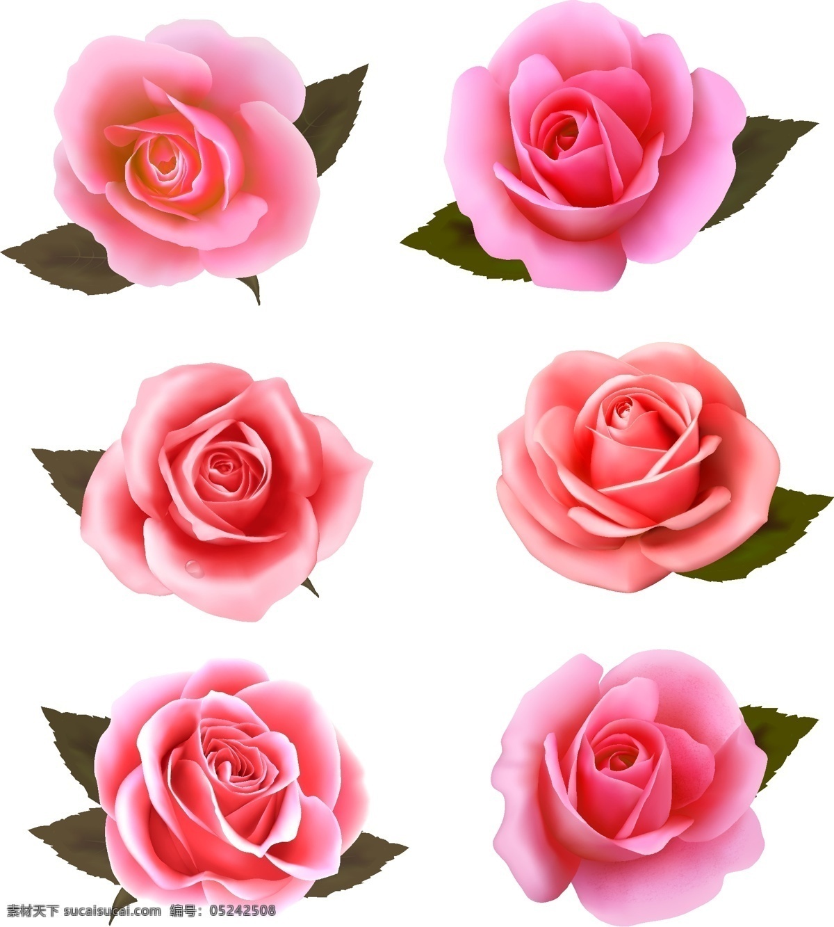 创意 矢量 玫瑰 卡片 贺卡 花瓣 花朵 矢量素材 底纹背景 装饰背景 姿态