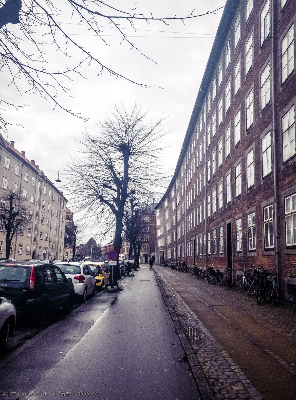 哥本哈根 冬天 街景 建筑 枯树 简约 公寓 干涩 寒冷 千库原创