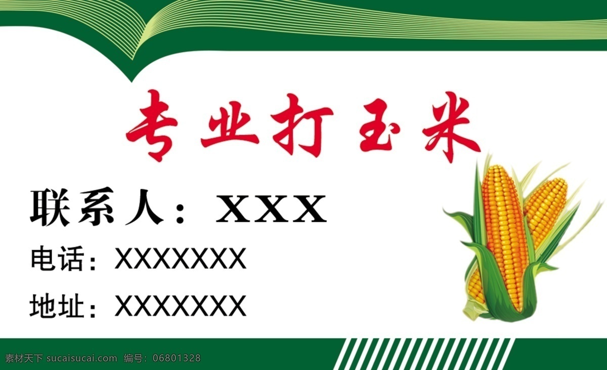 专业 玉米 专业大玉米 玉米名片 绿色玉米 psd分层 名片卡片