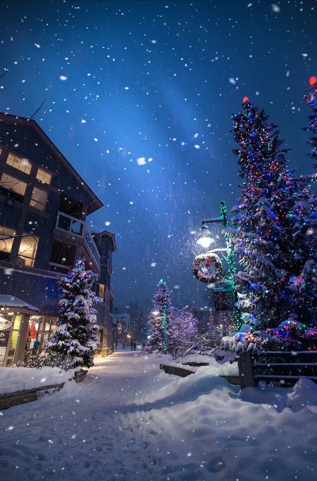圣诞夜 圣诞 夜晚 雪 雪地 街道 树 建筑 底纹边框 背景底纹
