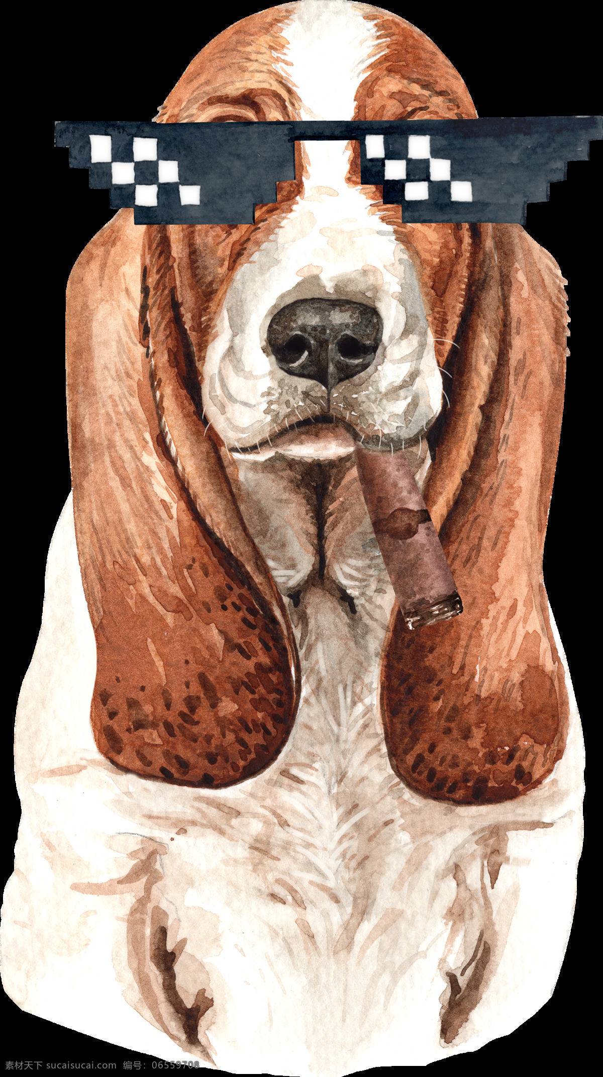 水彩 绘画 可爱 小狗 水彩绘画 涂鸦 呆萌可爱 小动物 狗 犬 创意绘画 图案设计 表情包 外国犬头像 田园犬 博士帽 帽子 装饰画 墨镜 文化艺术 绘画书法