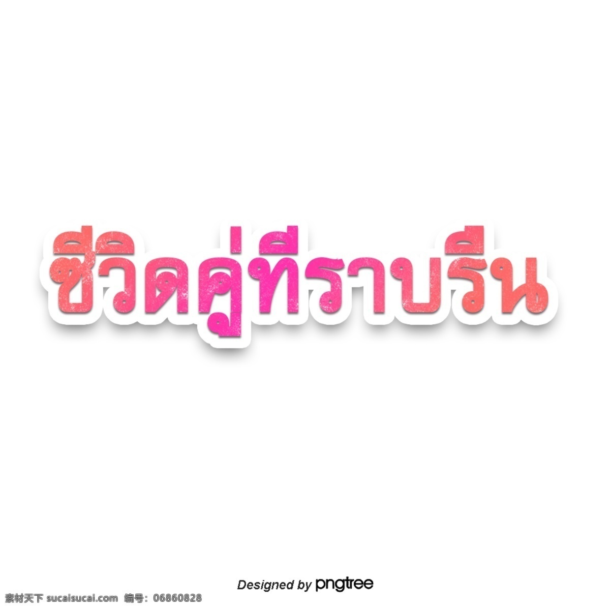 泰国 文字 字体 平滑 带宽 双 粉红色 番 红花 柑橘线虫 看颜色