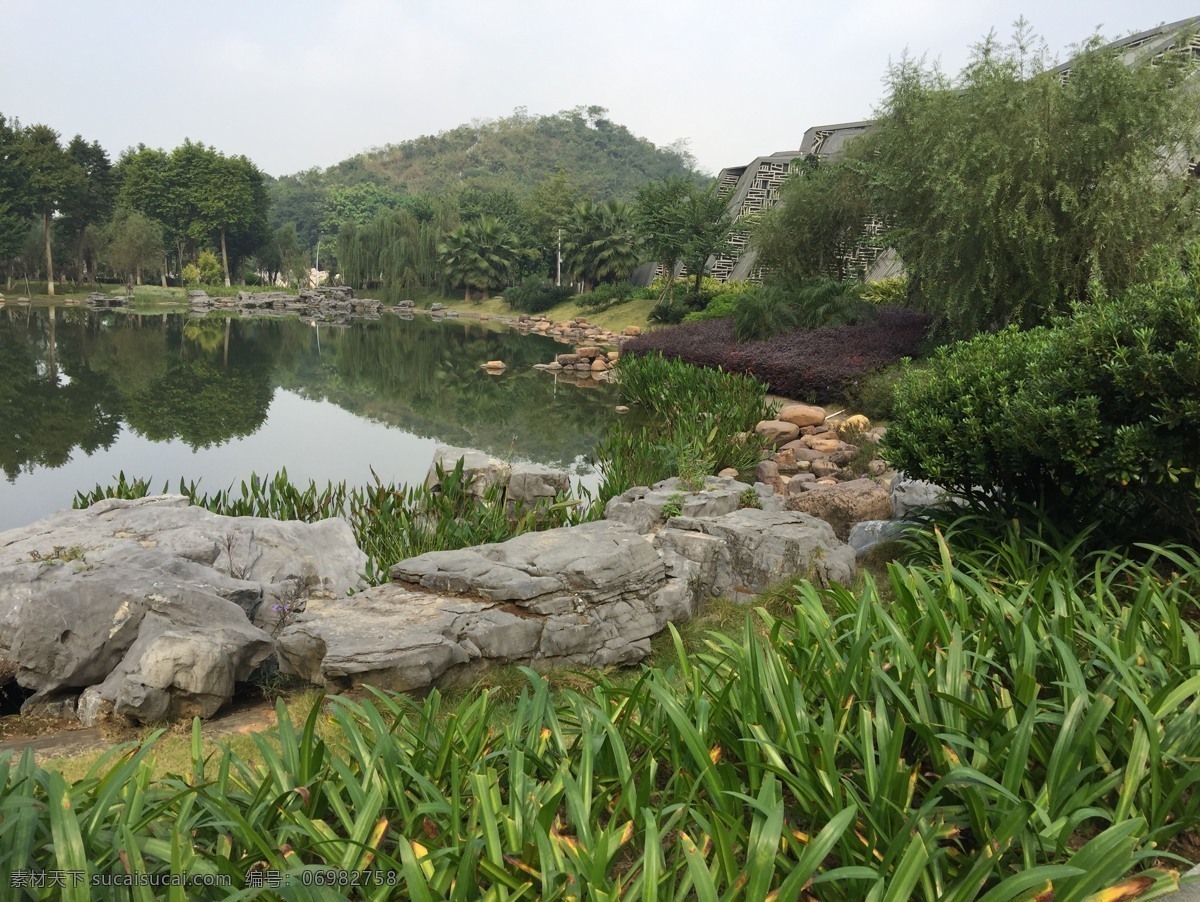 景观驳岸 水体 驳岸 景观 公园 自然式 植物 福建 茶 自然景观 自然风景