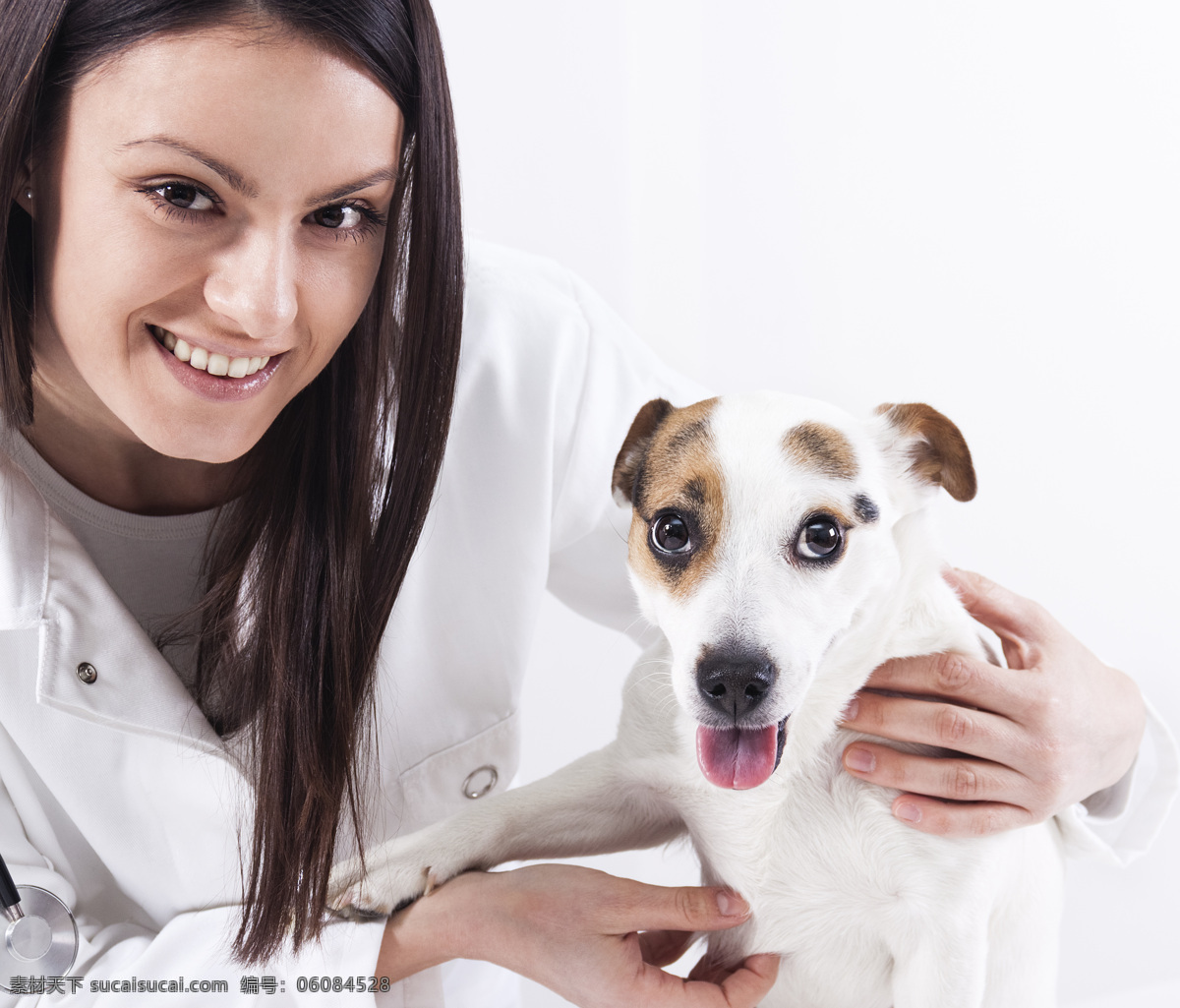 微笑 美女 兽医 宠物狗 宠物 职业人物 小狗 商务人士 人物图片
