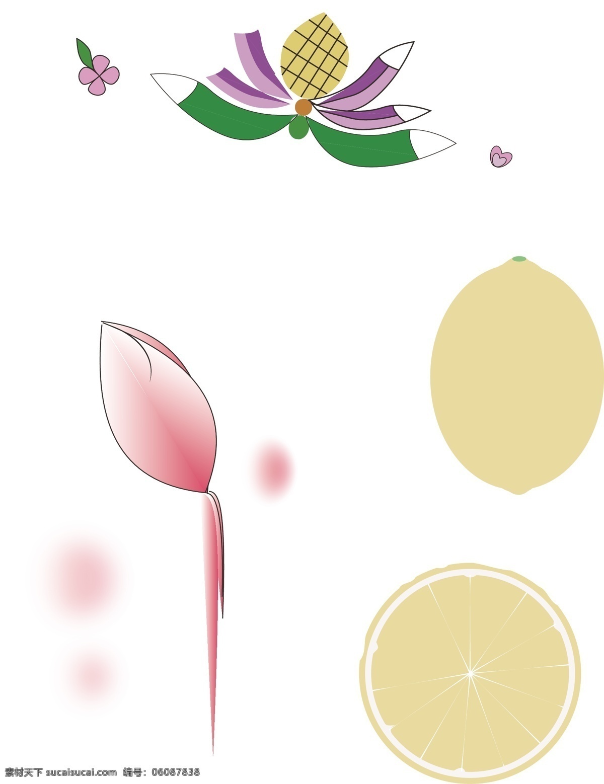 ai插画绘制 绘制小花 柠檬 清新 白色