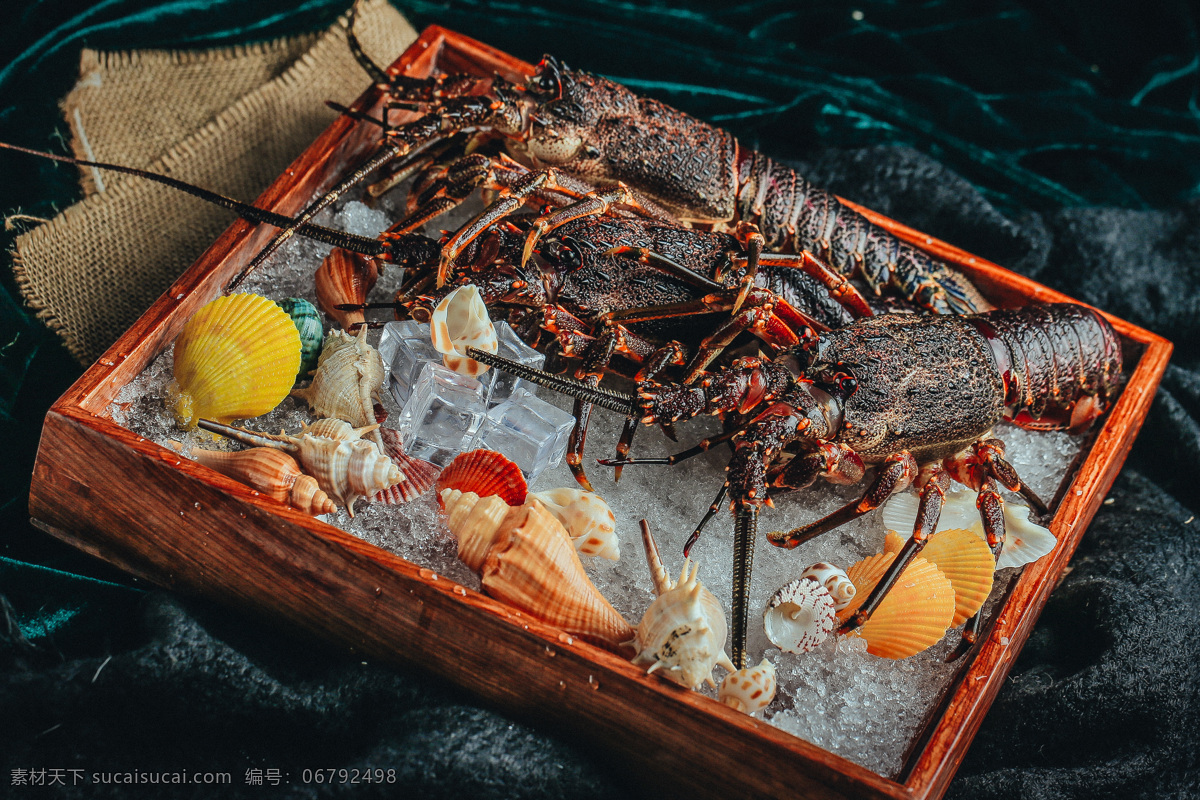 加拿大 小 青龙 时价 图 加拿大小青龙 时价图 摄影图 美味 海鲜 龙虾 高清美食 餐饮美食 传统美食