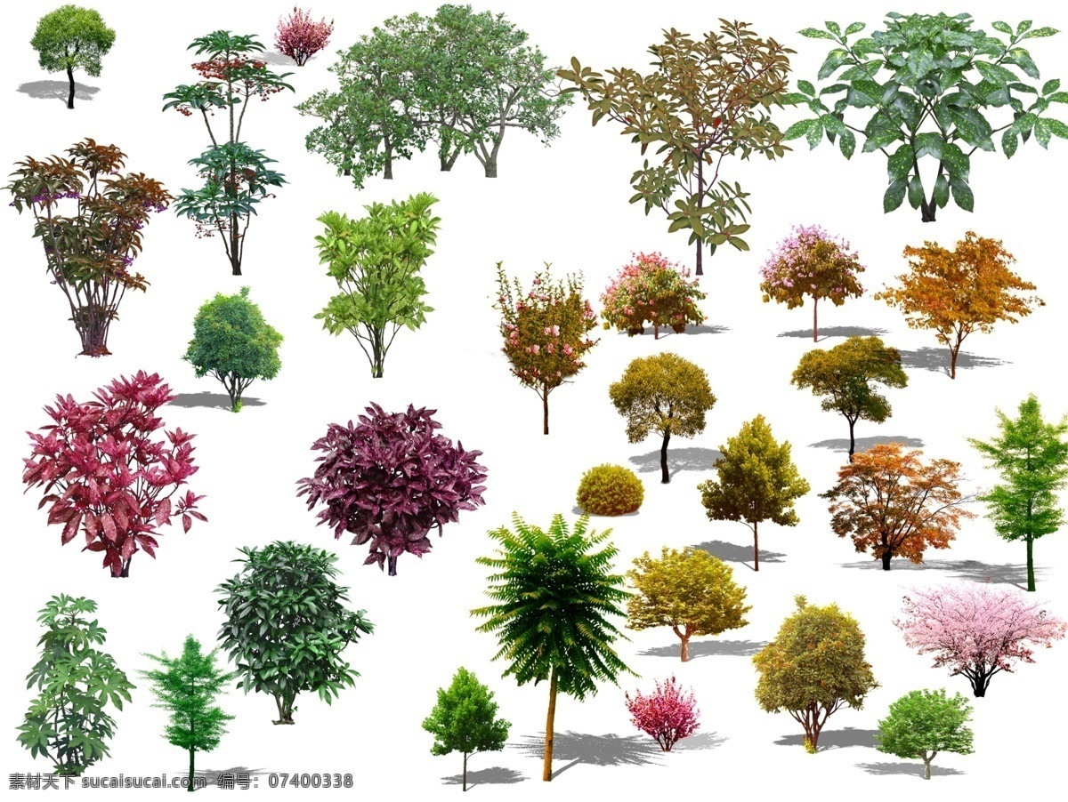 绿化树图片 树 树木 树素材 小树 大树 卡通树